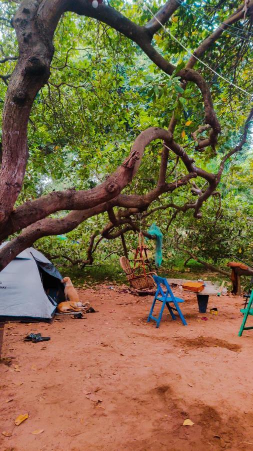 Peace Garden Hostel Auroville Buitenkant foto