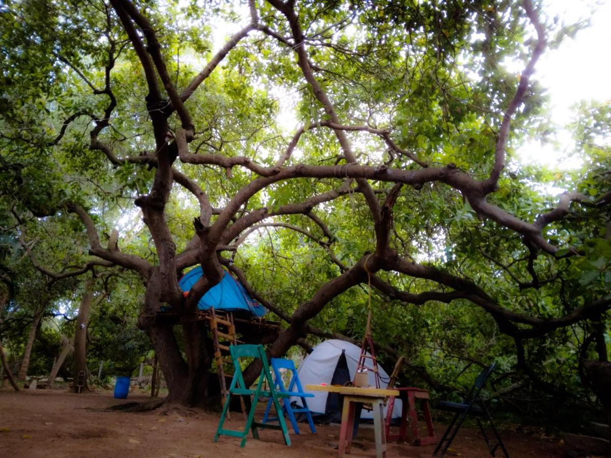 Peace Garden Hostel Auroville Buitenkant foto